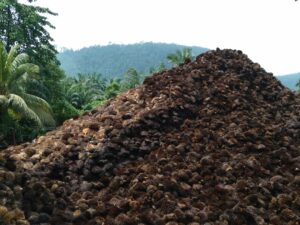 Artikel 2 - Dari Limbah Sawit Jadi Solusi_ Perjalanan Biowin Mendukung Circular Economy